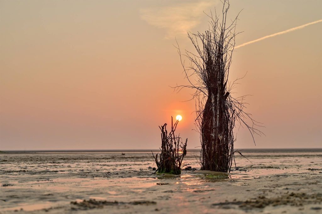 Foto von Niko Timm – Sonnenuntergang